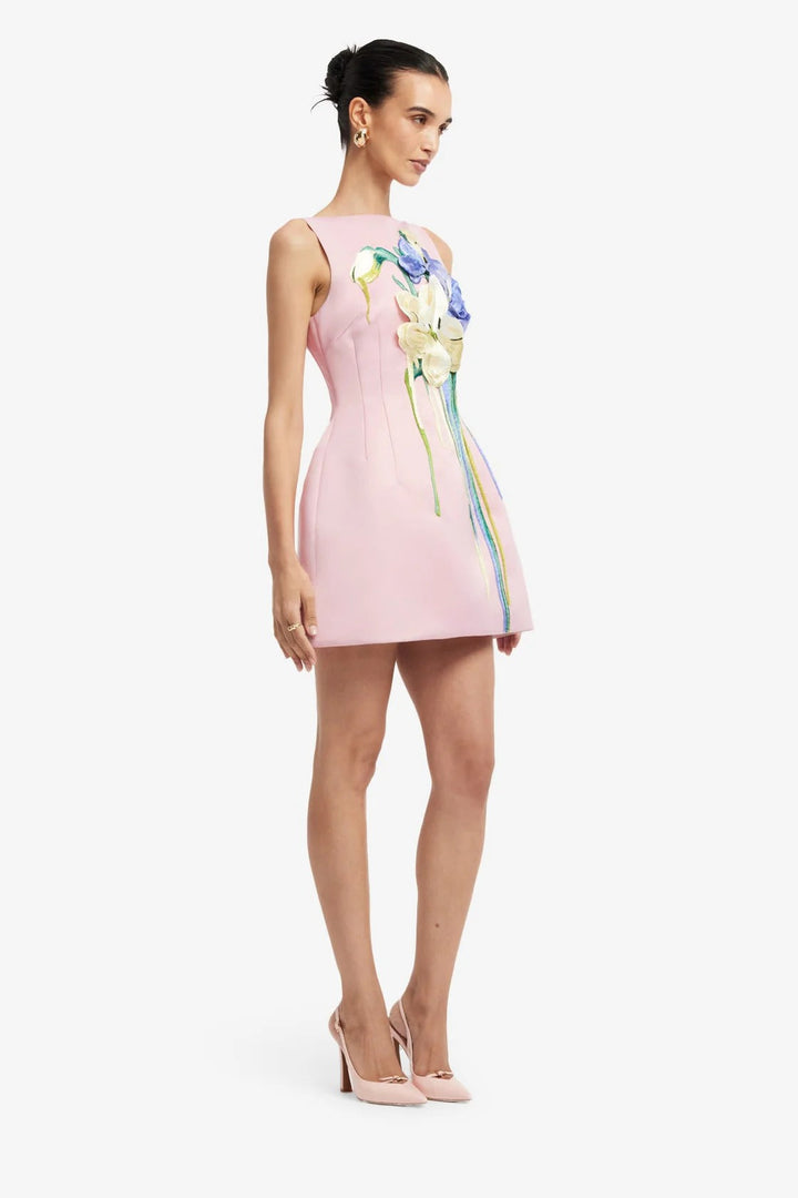 Juliana | Embroidered Mini Dress